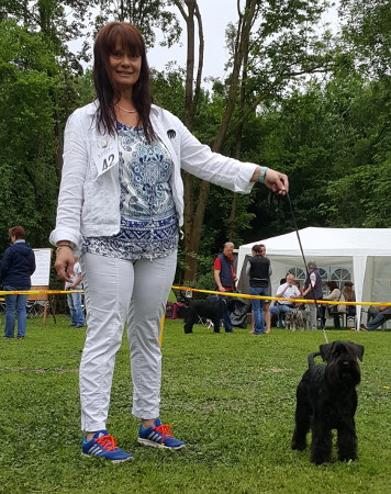 MG_Viersen_01 MG_Viersen_01