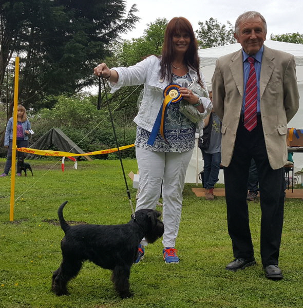 MG_Viersen_02 MG_Viersen_02