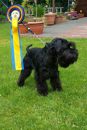 MG_Viersen_04 MG_Viersen_04