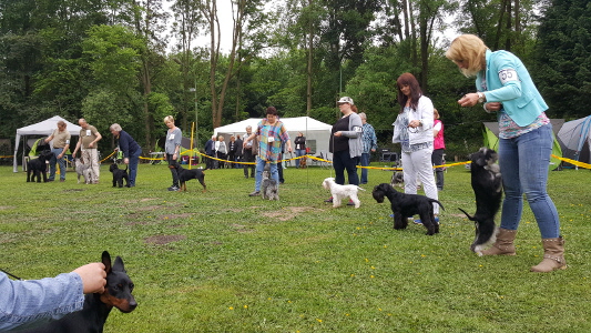 MG_Viersen_05 MG_Viersen_05