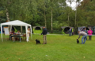 KSA_Köln_001 KSA_Köln_001