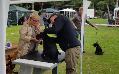 KSA_Köln_003 KSA_Köln_003