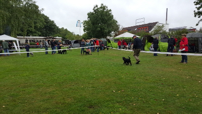 KSA_Köln_005 KSA_Köln_005