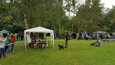 KSA_Köln_006 KSA_Köln_006