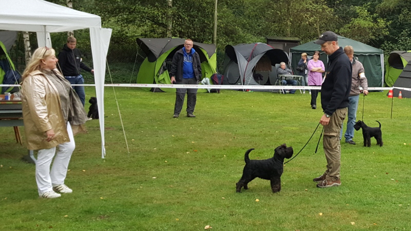 KSA_Köln_007 KSA_Köln_007