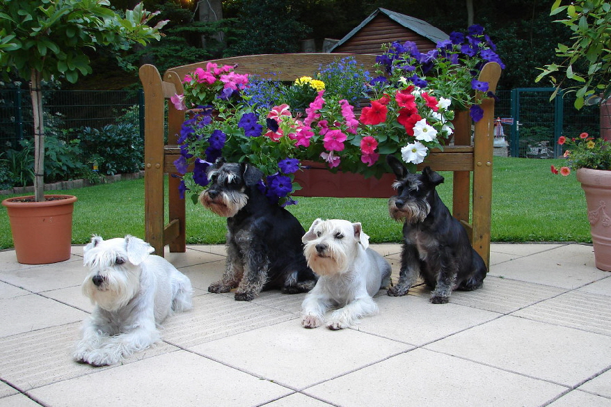 Unsere_Männer Unsere_Männer